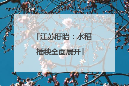 江苏盱眙：水稻插秧全面展开